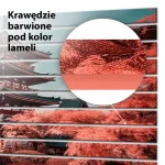 Lamele dekoracyjne Dom wśród kwitnących wiśni - obrazek 5