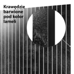 Lamele dekoracyjne Ciemna struktura kamienia - obrazek 5