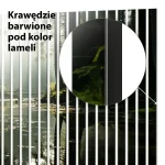 Lamele dekoracyjne Światło poranka - obrazek 4