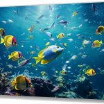 Szklany obraz Ryby pod wodą Ocean Rafa koralowa