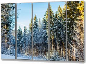 Szklany obraz Zimowy las sosnowy Natura - obrazek 3