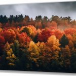Szklany obraz Las Jesień Natura