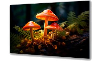Szklany obraz Świecące grzyby Muchomory magiczne Las