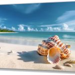 Szklany obraz Natura Morze Muszle na plaży