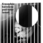 Lamele dekoracyjne W cieniu tajemnicy - Nowoczesny portret - obrazek 6