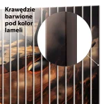 Lamele dekoracyjne Zachód Słońca nad myśliwcem - obrazek 4