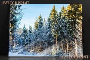 Szklany obraz Zimowy las sosnowy Natura - obrazek 4