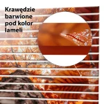 Lamele dekoracyjne Widok spod korony drzewa - obrazek 4