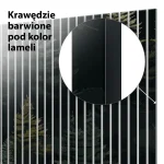 Lamele dekoracyjne Tajemniczy ciemny las - obrazek 5