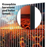 Lamele dekoracyjne Słoneczny horyzont nad polem słoneczników - obrazek 5