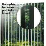 Lamele dekoracyjne Głębiny lasu - obrazek 4